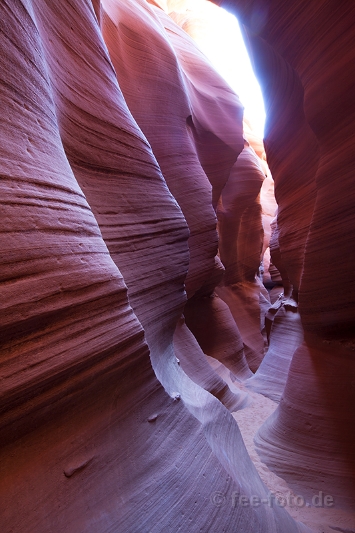 Lower Antelope Canyon - XII